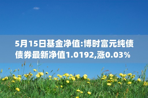 5月15日基金净值:博时富元纯债债券最新净值1.0192,涨0.03% (基金五月走势)