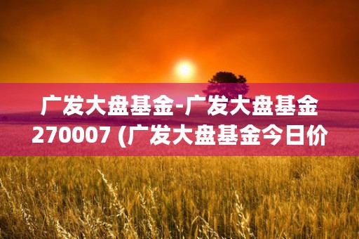 广发大盘基金-广发大盘基金270007 (广发大盘基金今日价格)