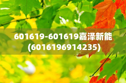 601619-601619嘉泽新能 (6016196914235)