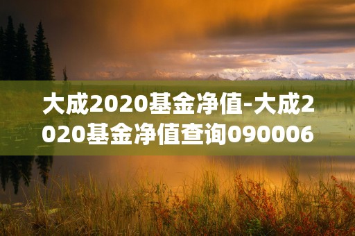 大成2020基金净值-大成2020基金净值查询090006的公司 (大成2020基金090003净值)