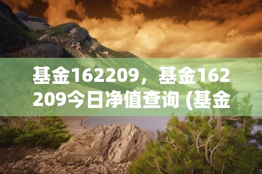 基金162209，基金162209今日净值查询 (基金162607今天的净值是多少)