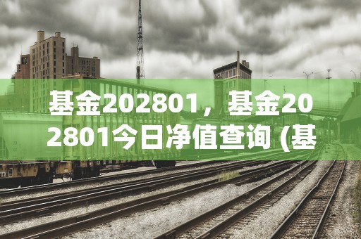 基金202801，基金202801今日净值查询 (基金202801今天净值)