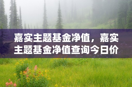 嘉实主题基金净值，嘉实主题基金净值查询今日价格 (嘉实主题基金净值多少)