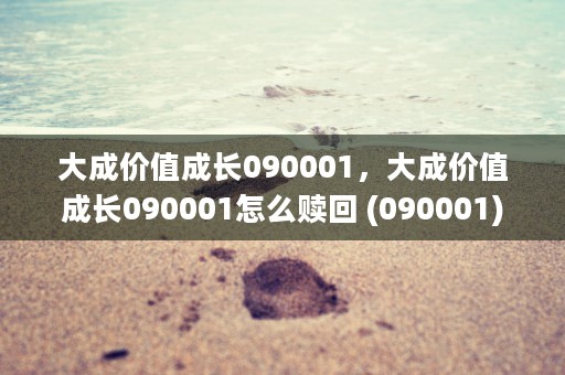 大成价值成长090001，大成价值成长090001怎么赎回 (090001)