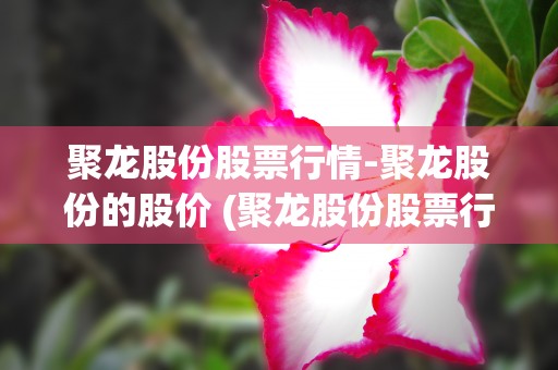 聚龙股份股票行情-聚龙股份的股价 (聚龙股份股票行情分析)