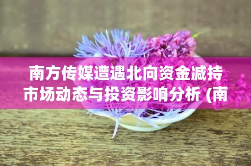 南方传媒遭遇北向资金减持市场动态与投资影响分析 (南方传媒集团招聘公告)