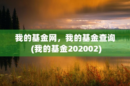 我的基金网，我的基金查询 (我的基金202002)