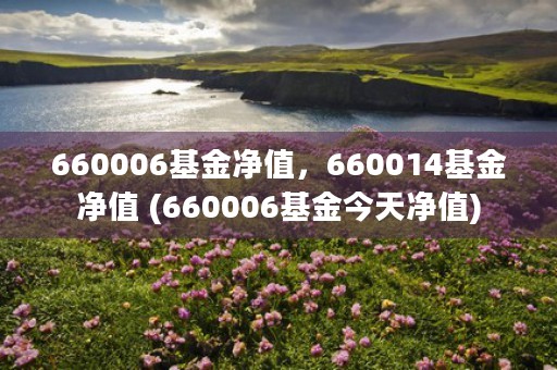 660006基金净值，660014基金净值 (660006基金今天净值)