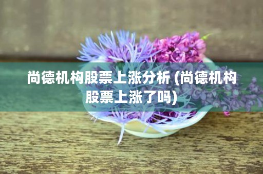 尚德机构股票上涨分析 (尚德机构股票上涨了吗)