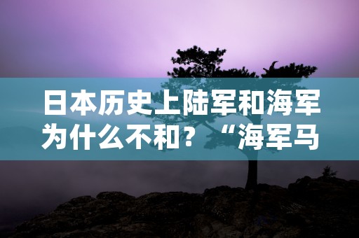 日本历史上陆军和海军为什么不和？“海军马鹿”、“陆军马鹿”的说法是怎么来的，且看今日专业讲解！ (日本陆军历史书籍)