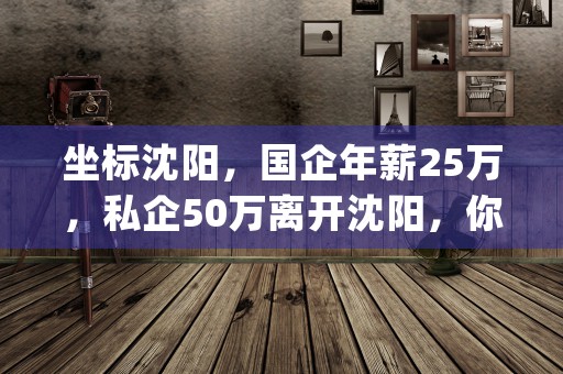 坐标沈阳，国企年薪25万，私企50万离开沈阳，你会选择哪个，本文为您权威解答！ (沈阳最牛的国企是哪个)