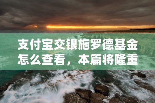 支付宝交银施罗德基金怎么查看，本篇将隆重介绍！ (支付宝交银施罗德基金怎么样)