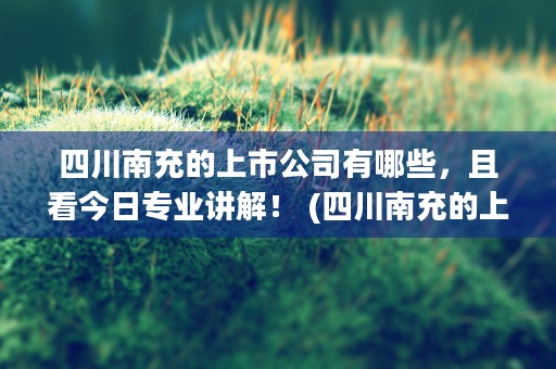 四川南充的上市公司有哪些，且看今日专业讲解！ (四川南充的上市公司名单)