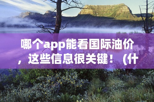 哪个app能看国际油价，这些信息很关键！ (什么app可以看短剧免费的软件)