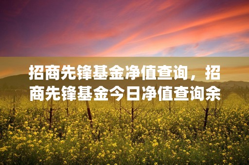 招商先锋基金净值查询，招商先锋基金今日净值查询余额 (招商先锋基金净值怎么算)