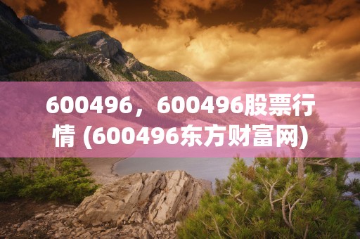 600496，600496股票行情 (600496东方财富网)