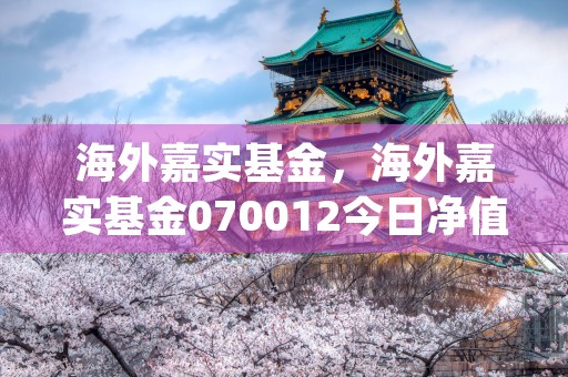 海外嘉实基金，海外嘉实基金070012今日净值查询鹏华动力 (嘉实海外基金现在是多少钱)