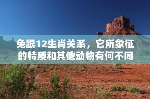 12生肖属鼠的前世今生，从古代传说到现实考量