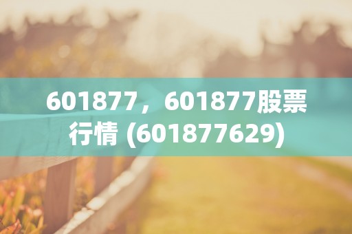 601877，601877股票行情 (601877629)