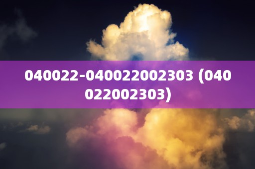 040022-040022002303 (040022002303)