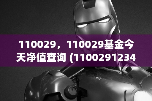 110029，110029基金今天净值查询 (11002912341001)