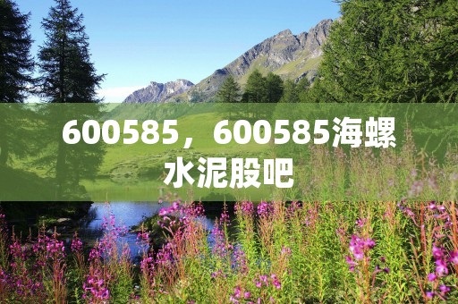 600585，600585海螺水泥股吧