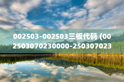 002503-002503三板代码 (002503070230000-250307023)