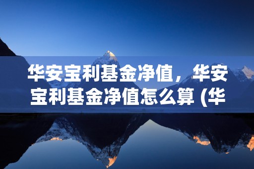 华安宝利基金净值，华安宝利基金净值怎么算 (华安宝利配置基金今日是涨是落)