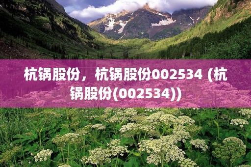 杭锅股份，杭锅股份002534 (杭锅股份(002534))