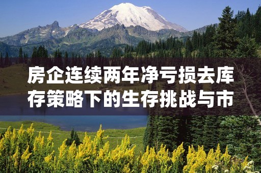 房企连续两年净亏损去库存策略下的生存挑战与市场展望 (连续2年亏损)