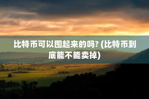 比特币可以囤起来的吗? (比特币到底能不能卖掉)