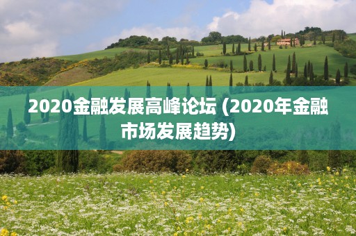 2020金融发展高峰论坛 (2020年金融市场发展趋势)