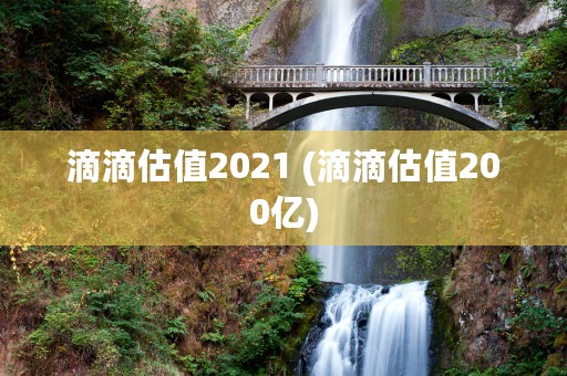 滴滴估值2021 (滴滴估值200亿)