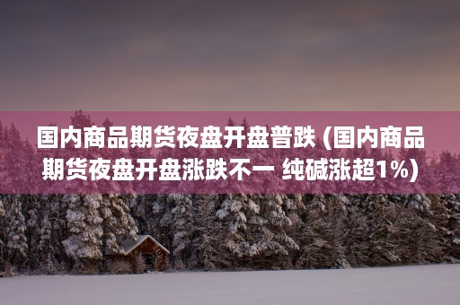 国内商品期货夜盘开盘普跌 (国内商品期货夜盘开盘涨跌不一 纯碱涨超1%)