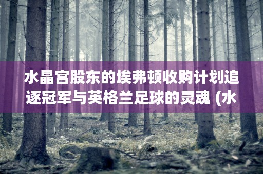 水晶宫股东的埃弗顿收购计划追逐冠军与英格兰足球的灵魂 (水晶宫董事长)