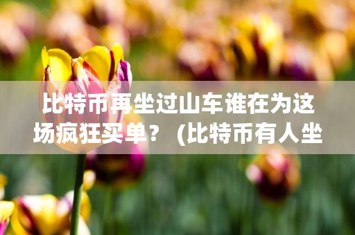 比特币再坐过山车谁在为这场疯狂买单？ (比特币有人坐庄吗)