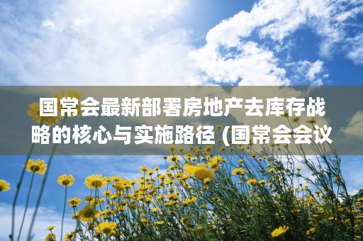 国常会最新部署房地产去库存战略的核心与实施路径 (国常会会议内容)