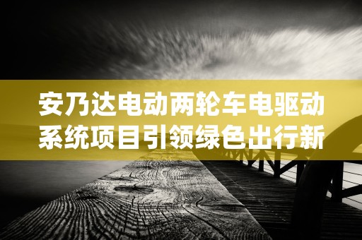 安乃达电动两轮车电驱动系统项目引领绿色出行新革命 (安乃达电动两轮车怎么样)