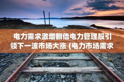 电力需求激增翻倍电力管理股引领下一波市场大涨 (电力市场需求)