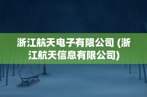 浙江航天电子有限公司 (浙江航天信息有限公司)