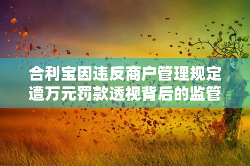 合利宝因违反商户管理规定遭万元罚款透视背后的监管挑战与行业影响