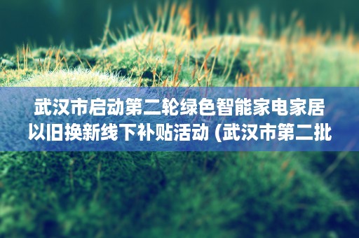 武汉市启动第二轮绿色智能家电家居以旧换新线下补贴活动 (武汉市第二批消费券什么时候发放)