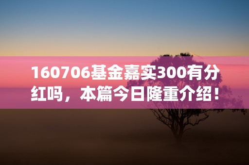 160706基金嘉实300有分红吗，本篇今日隆重介绍！ (160706基金最新净值)