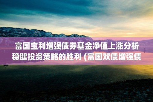 富国宝利增强债券基金净值上涨分析稳健投资策略的胜利 (富国双债增强债券a(010435))