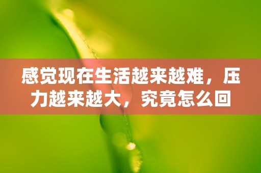 感觉现在生活越来越难，压力越来越大，究竟怎么回事，本文为您权威解答！ (为什么感觉现在的生活越来越没意思)