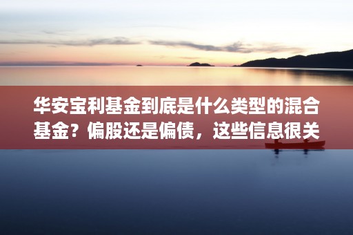 华安宝利基金到底是什么类型的混合基金？偏股还是偏债，这些信息很关键！ (华安保利华安宝利基金)