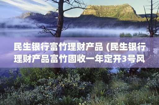 民生银行富竹理财产品 (民生银行理财产品富竹固收一年定开3号风险等级是几级?)