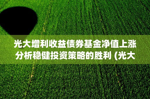 光大增利收益债券基金净值上涨分析稳健投资策略的胜利 (光大增利收益债券c)