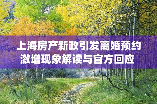 上海房产新政引发离婚预约激增现象解读与官方回应 (上海房产新政内容)