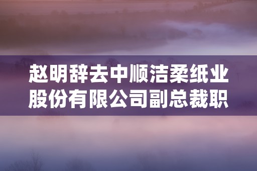 赵明辞去中顺洁柔纸业股份有限公司副总裁职务行业影响与未来展望 (中顺洁柔赵明简历)